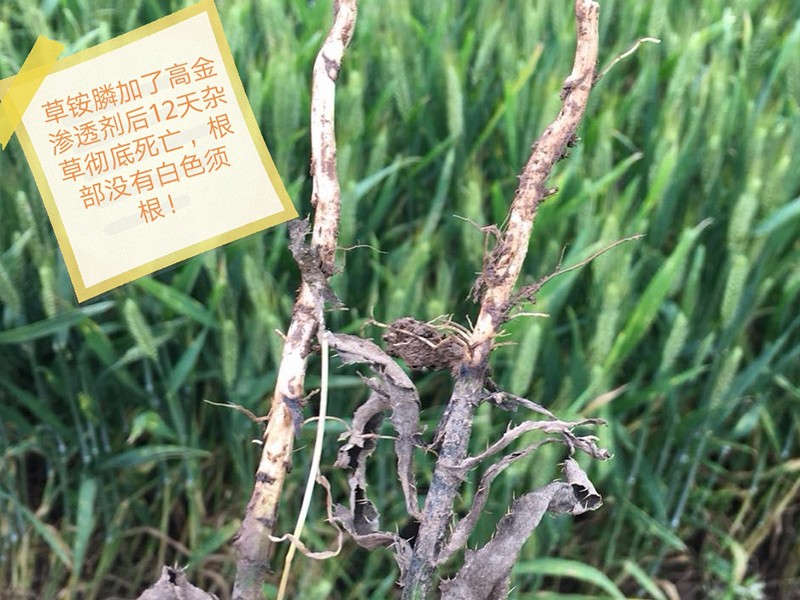 應用案例