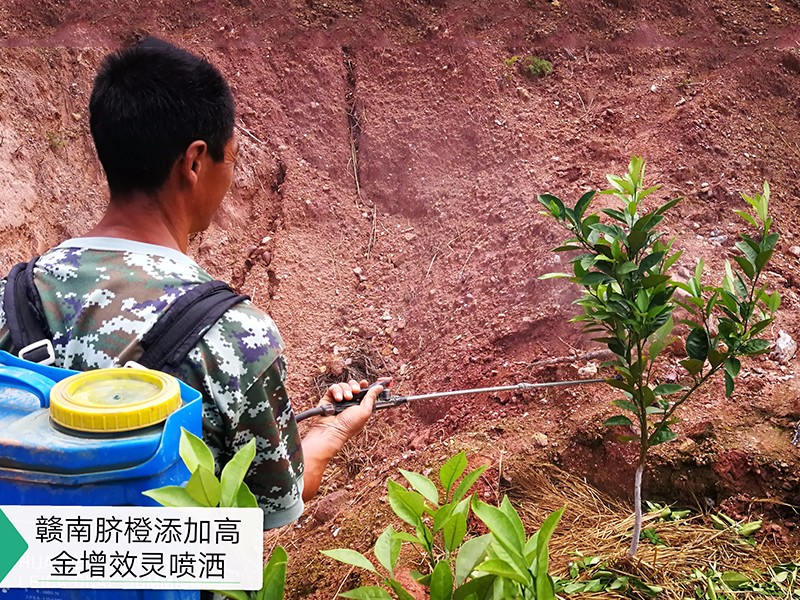 應用案例