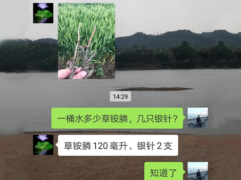應用案例