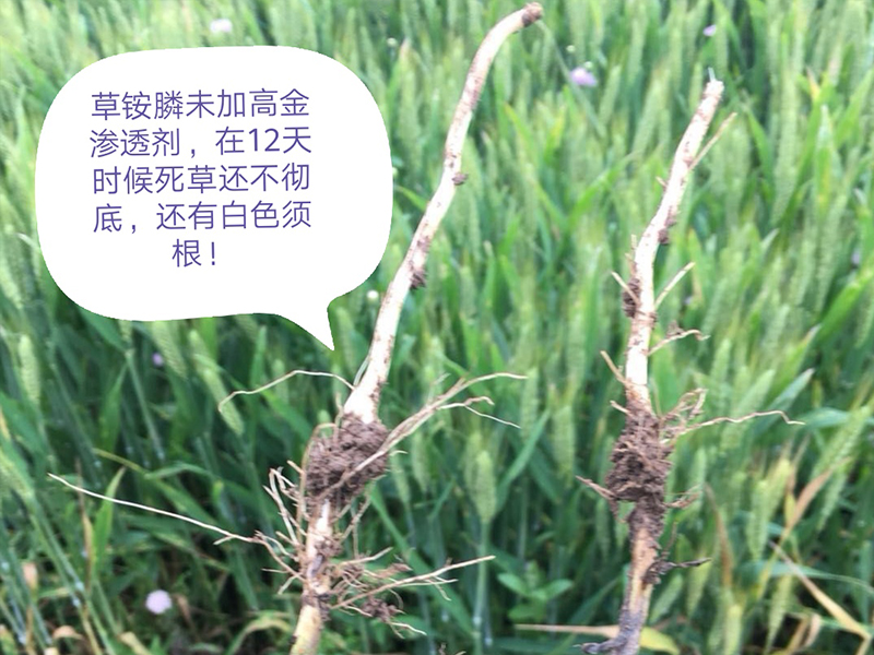 應用案例